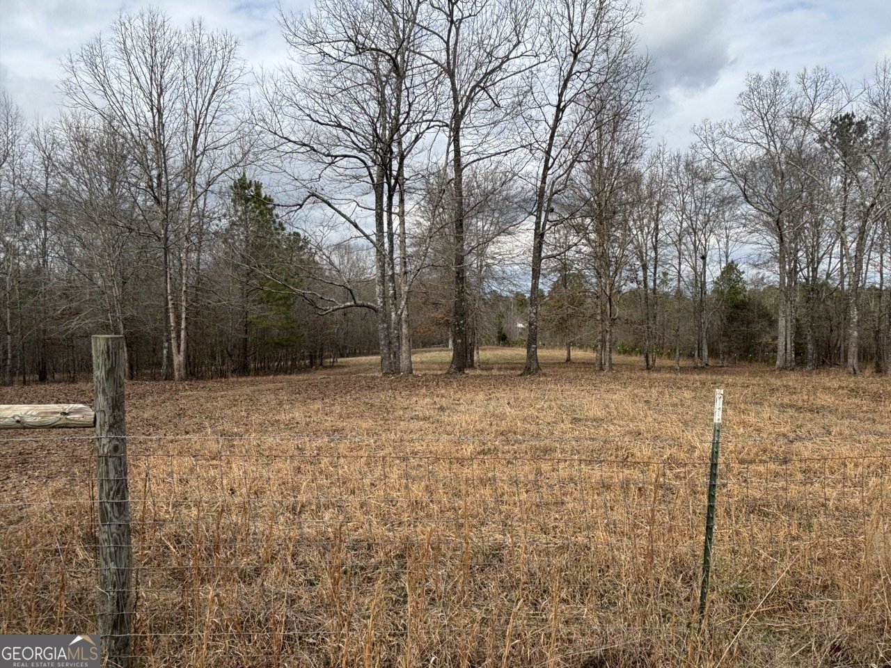 850 Bethel Church Road Silver Creek - Photo 63