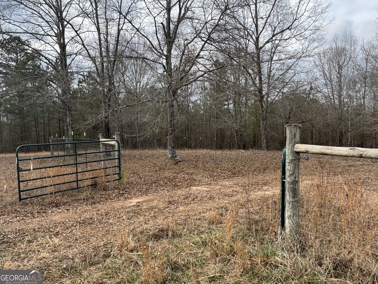 850 Bethel Church Road Silver Creek - Photo 64