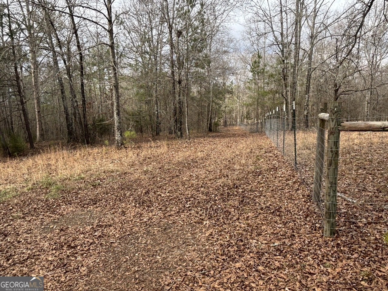 850 Bethel Church Road Silver Creek - Photo 65