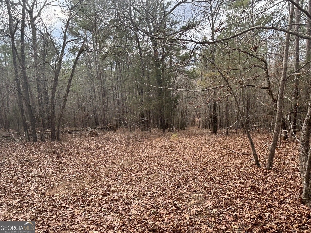 850 Bethel Church Road Silver Creek - Photo 69