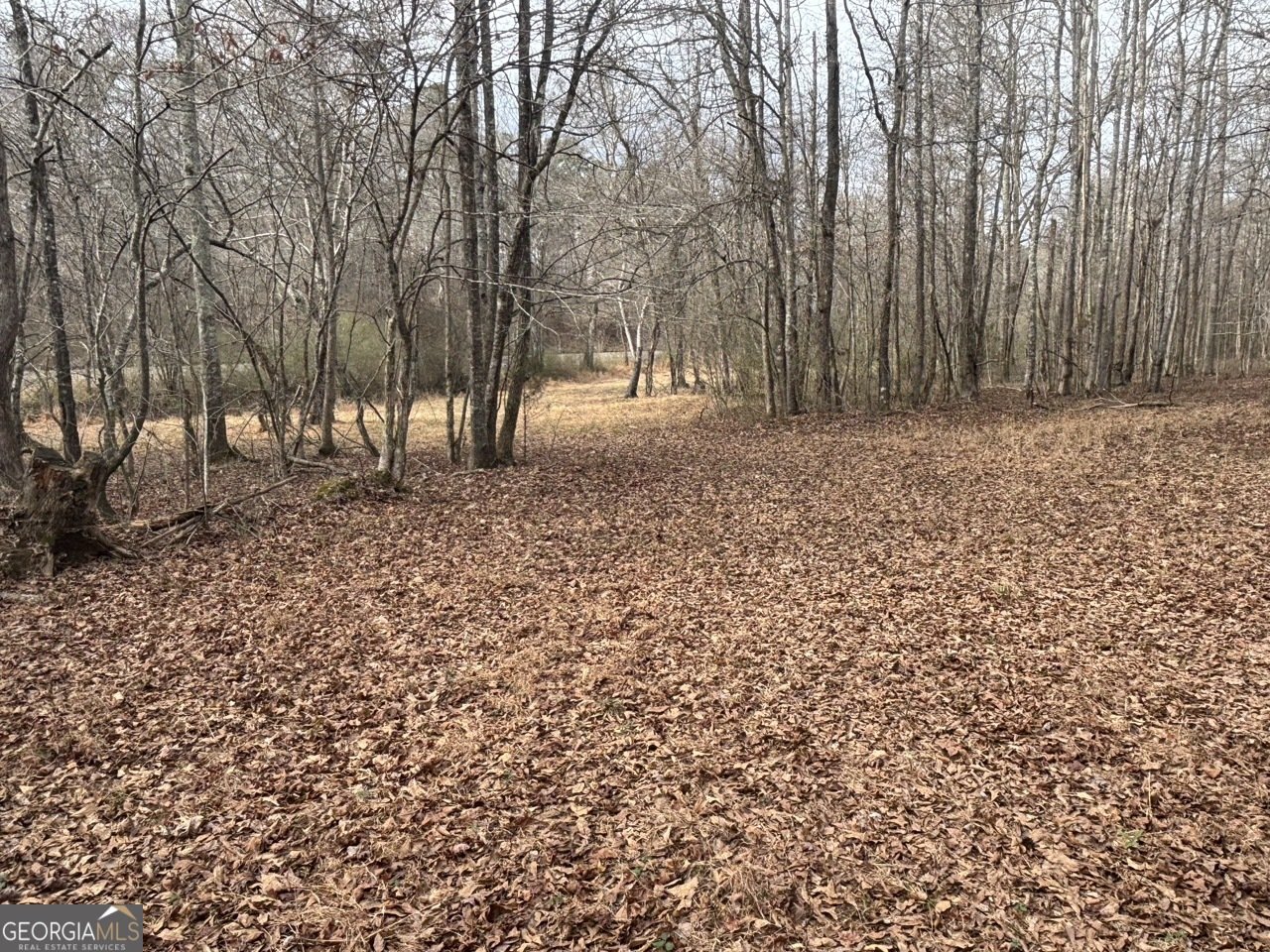 850 Bethel Church Road Silver Creek - Photo 72