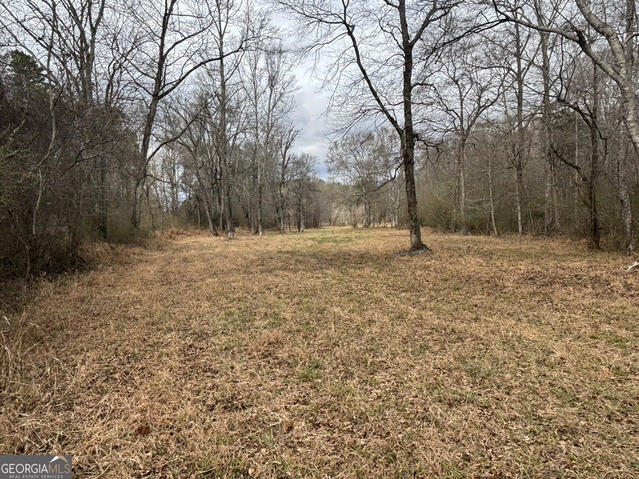 850 Bethel Church Road Silver Creek - Photo 73