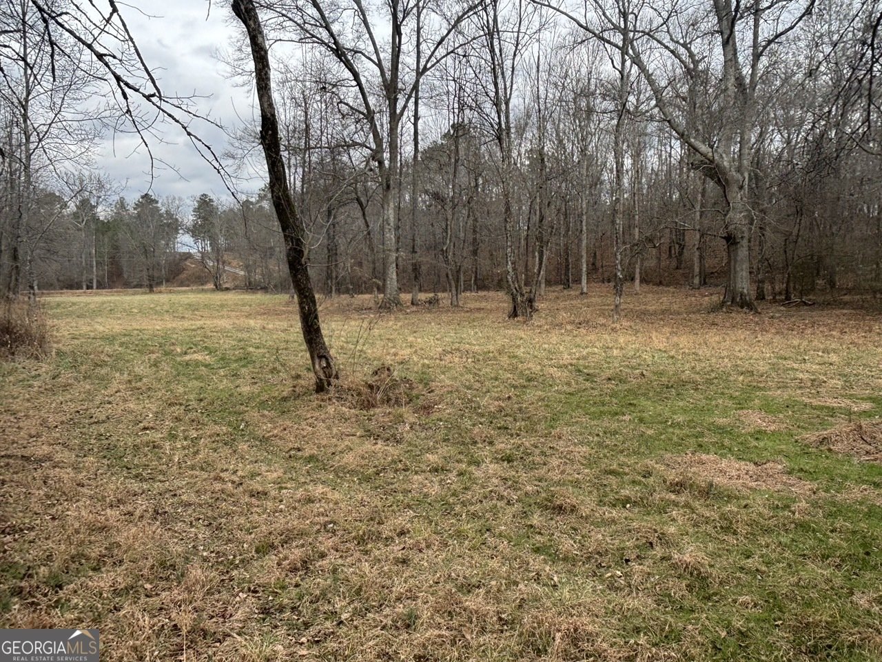 850 Bethel Church Road Silver Creek - Photo 77