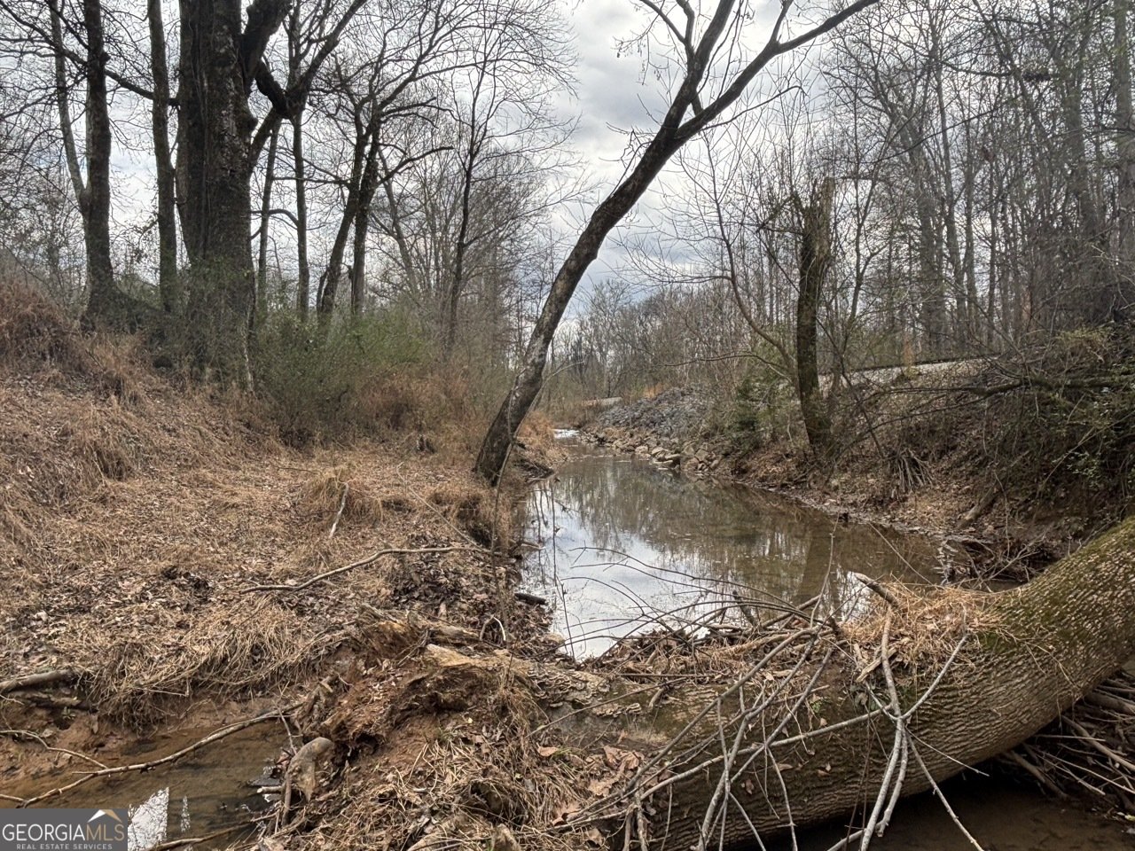 850 Bethel Church Road Silver Creek - Photo 79