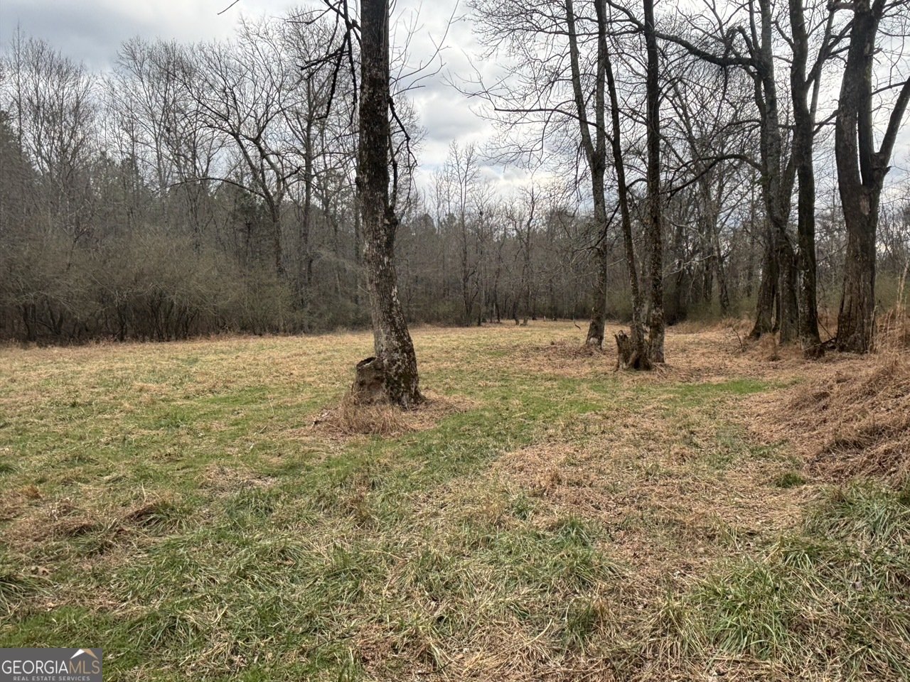 850 Bethel Church Road Silver Creek - Photo 80