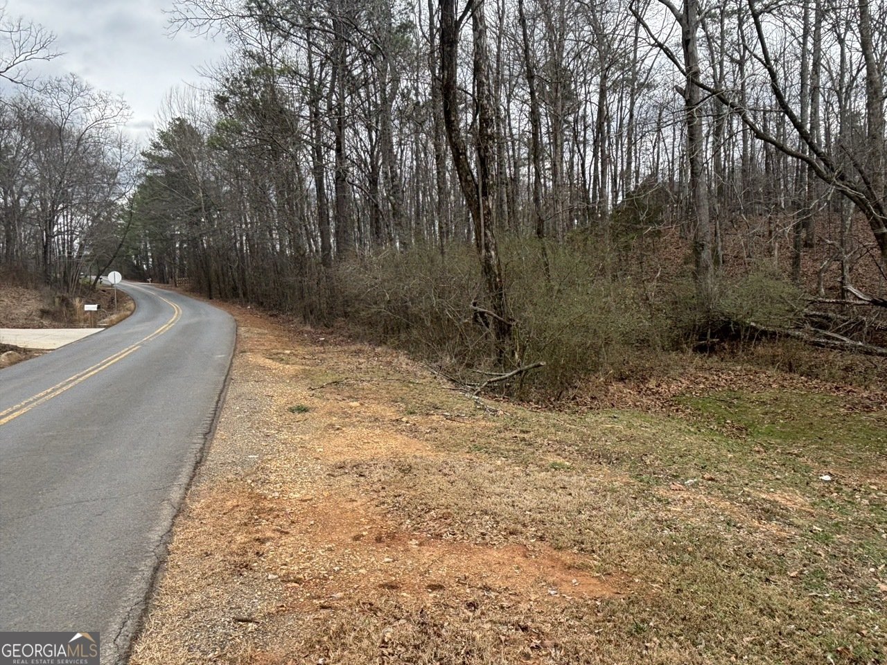 850 Bethel Church Road Silver Creek - Photo 81