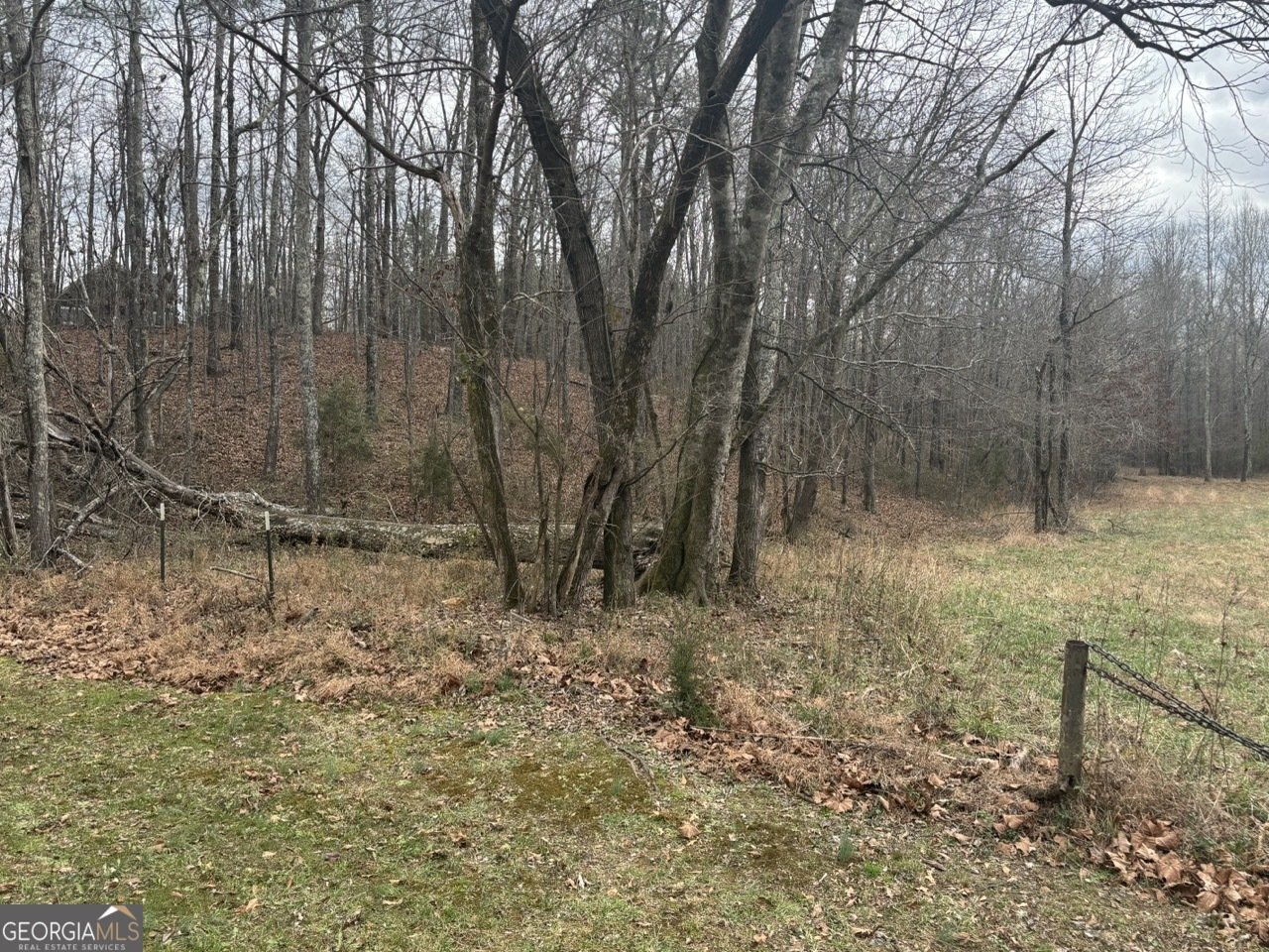 850 Bethel Church Road Silver Creek - Photo 84