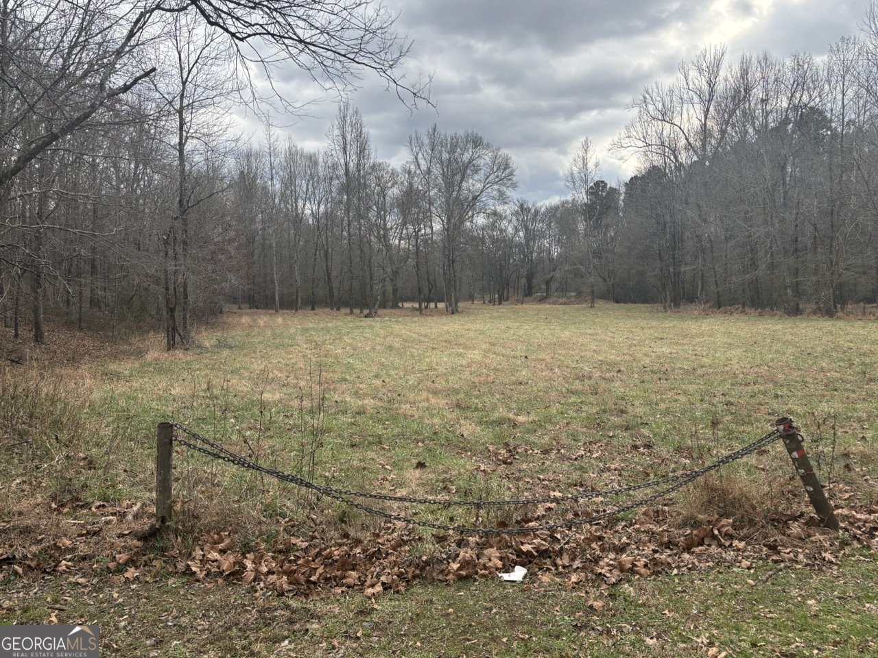 850 Bethel Church Road Silver Creek - Photo 85