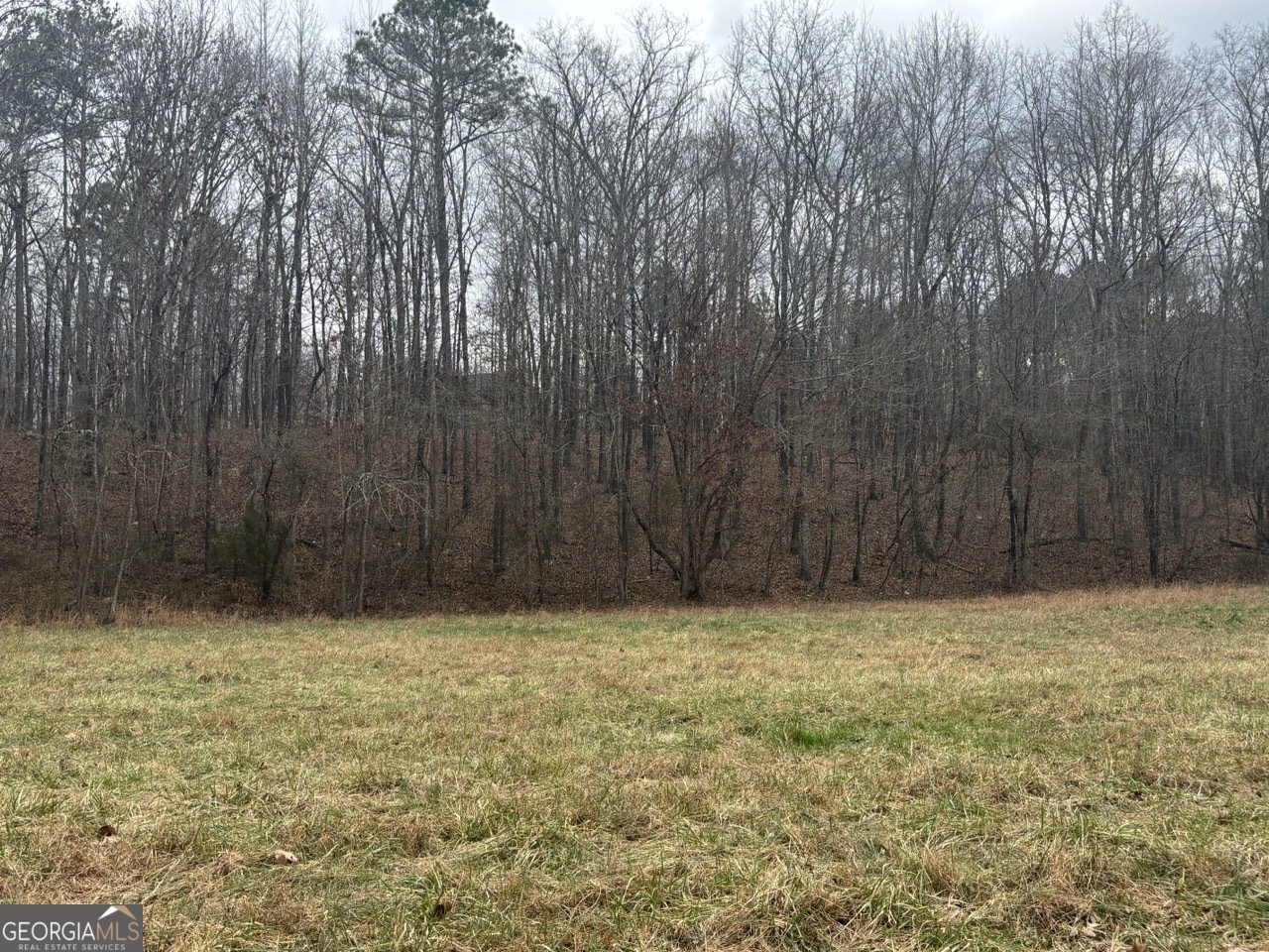 850 Bethel Church Road Silver Creek - Photo 86