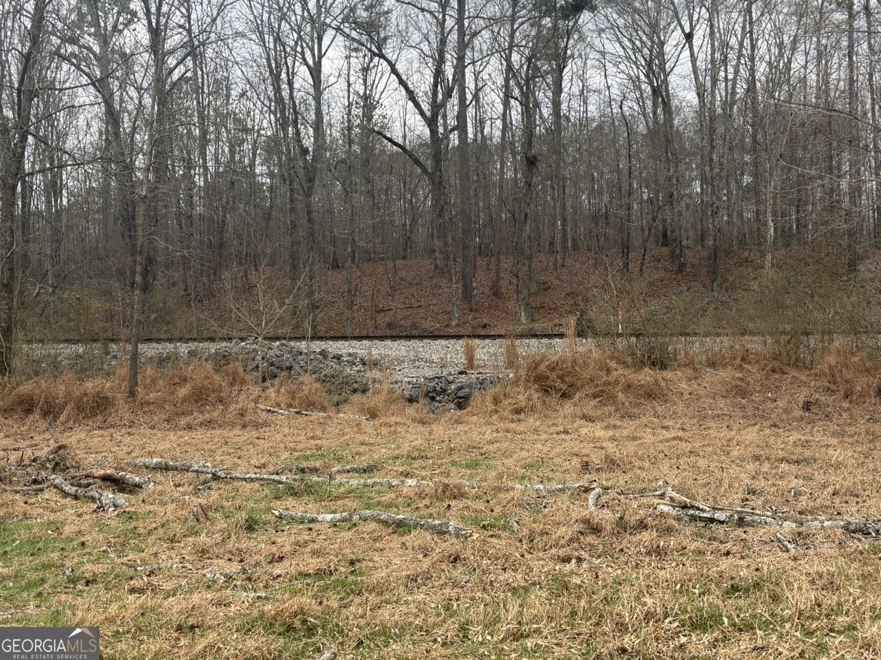 850 Bethel Church Road Silver Creek - Photo 87