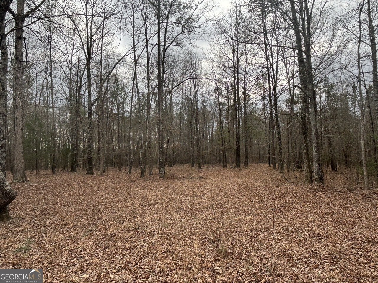 850 Bethel Church Road Silver Creek - Photo 88