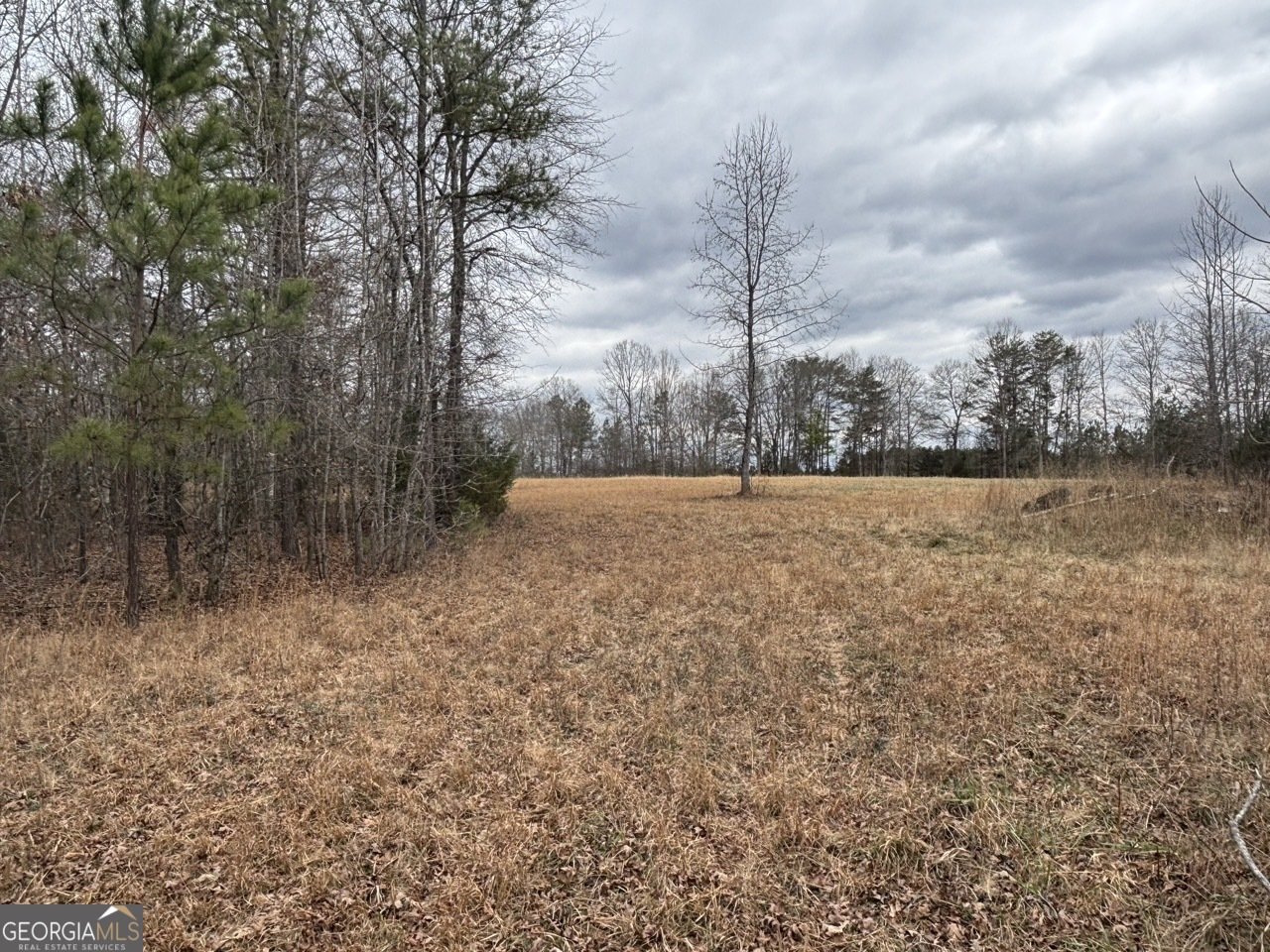 850 Bethel Church Road Silver Creek - Photo 90