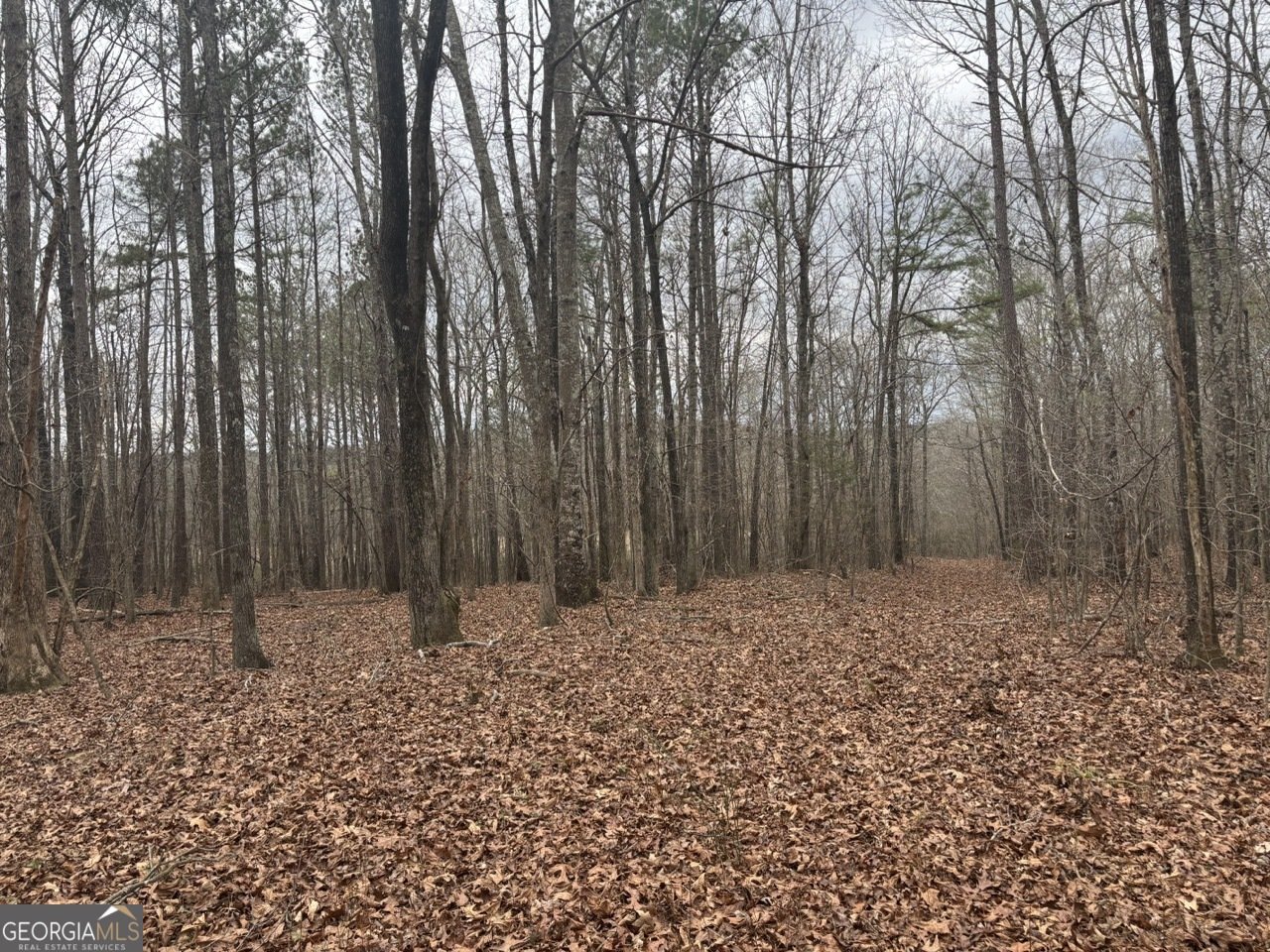 850 Bethel Church Road Silver Creek - Photo 93