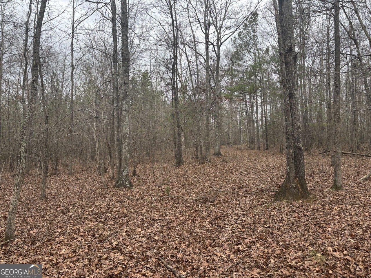 850 Bethel Church Road Silver Creek - Photo 94