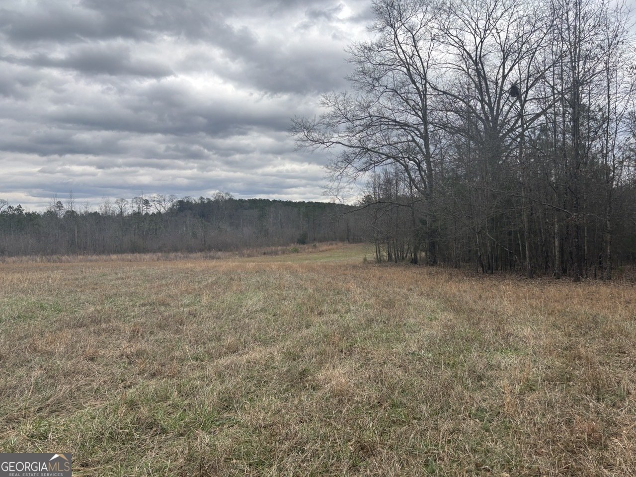 850 Bethel Church Road Silver Creek - Photo 95