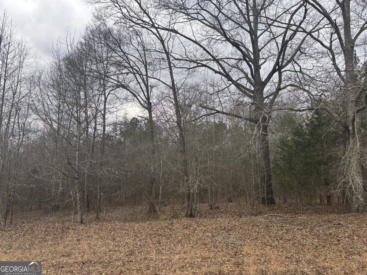 850 Bethel Church Road Silver Creek - Photo 98