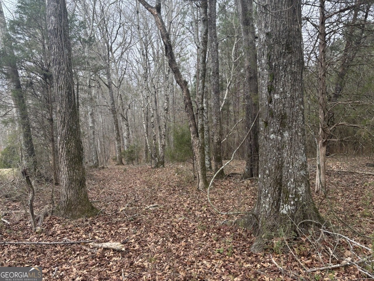 850 Bethel Church Road Silver Creek - Photo 99