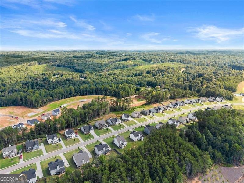 6357 Woodland Station Drive Lula - 45