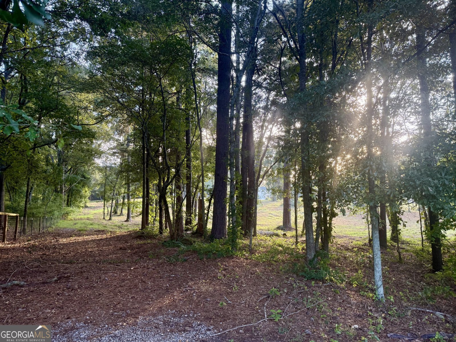 1491 Saxon Road Watkinsville - 11