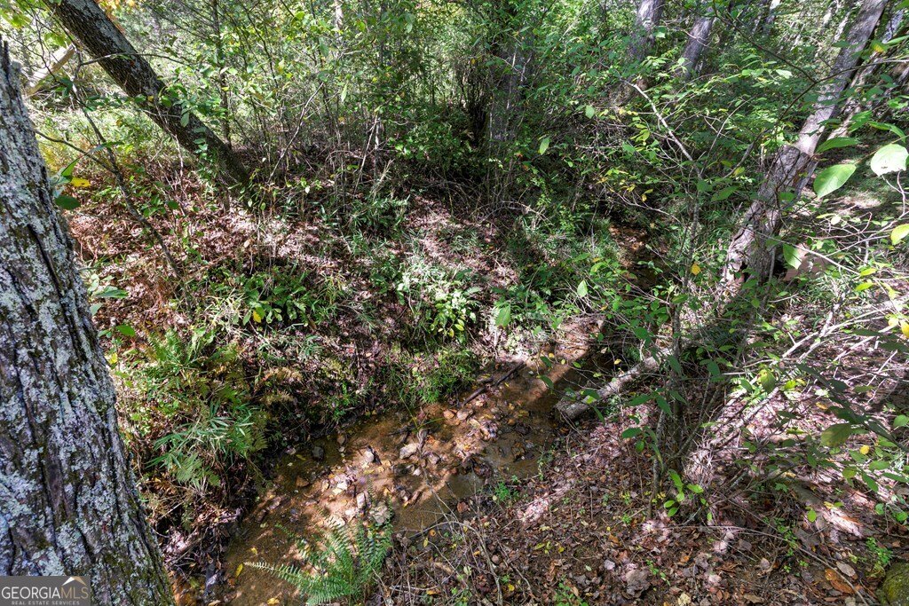 99 Chatuge Hills Drive Hayesville - 37