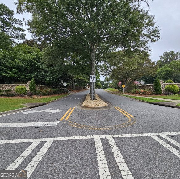1032 Chippendale Trail Marietta - 78