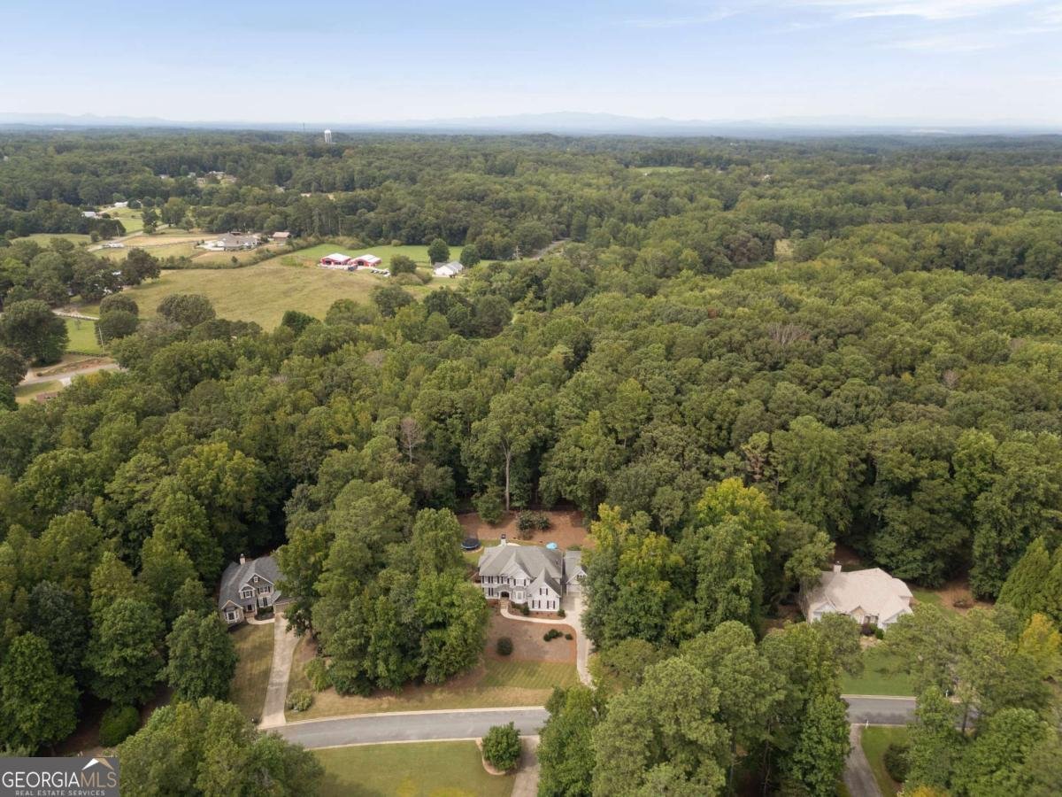 122 Birmingham Walk Alpharetta - 13