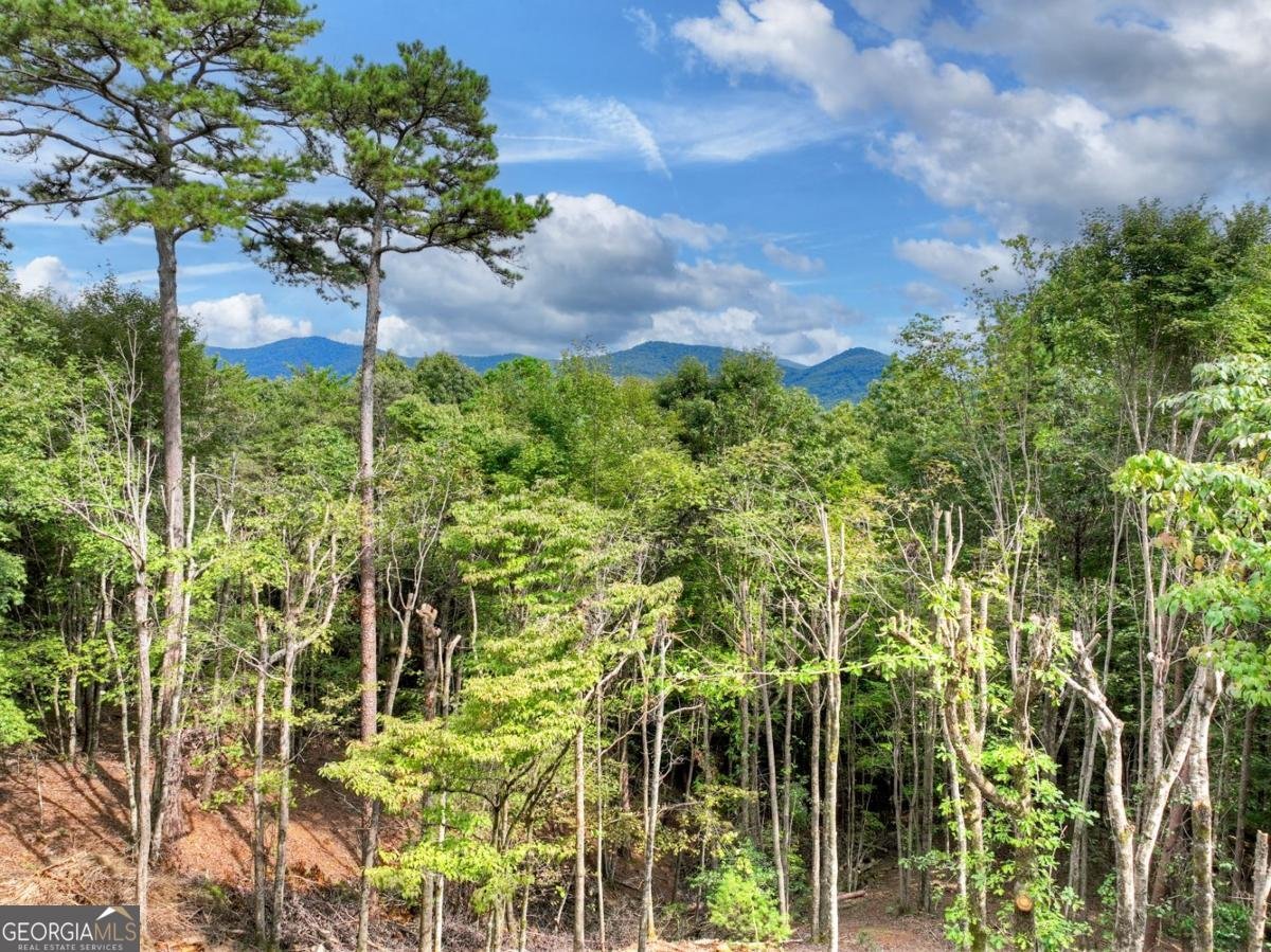 105 Tonto Drive Ellijay - 33