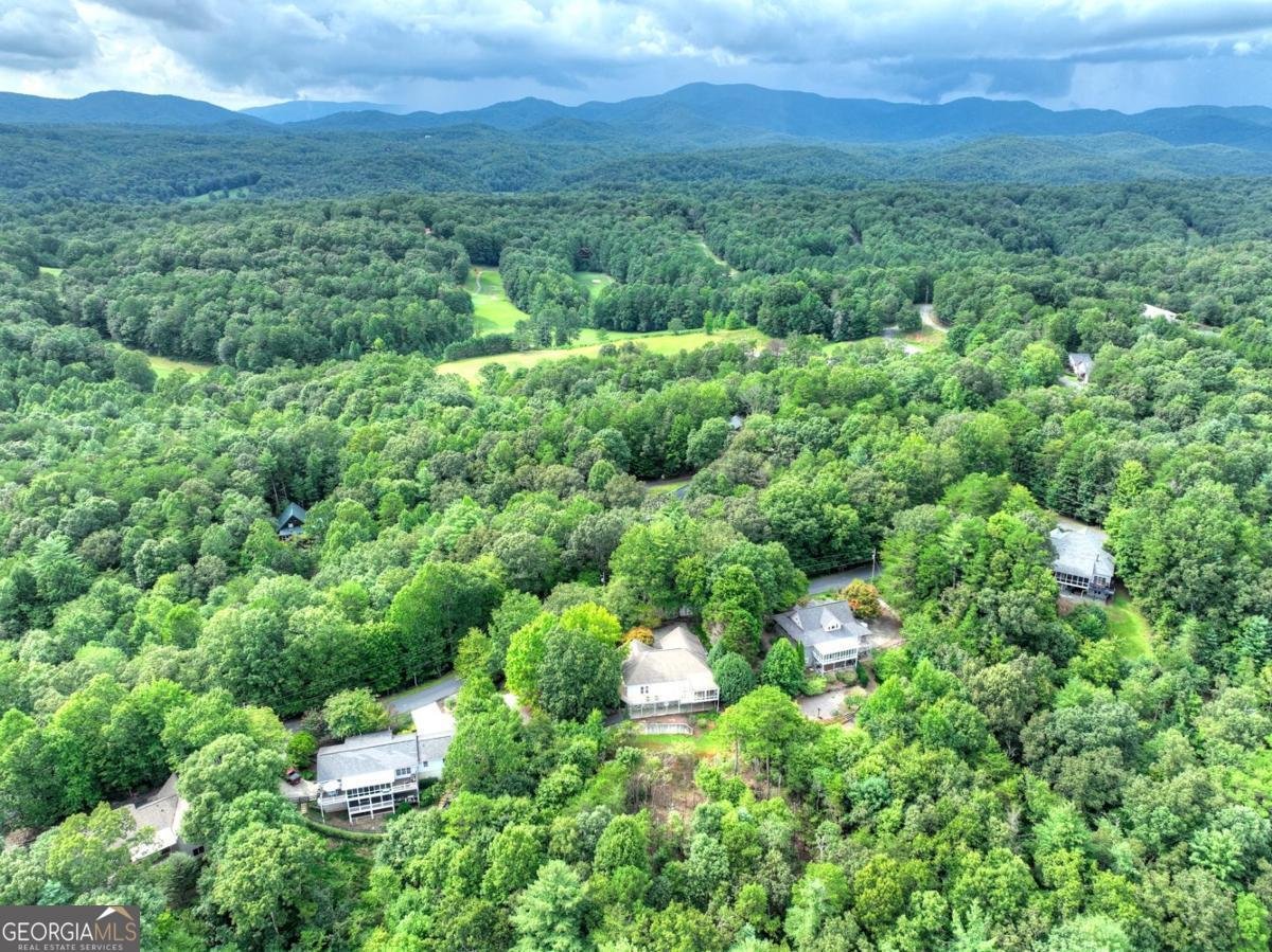 105 Tonto Drive Ellijay - 38