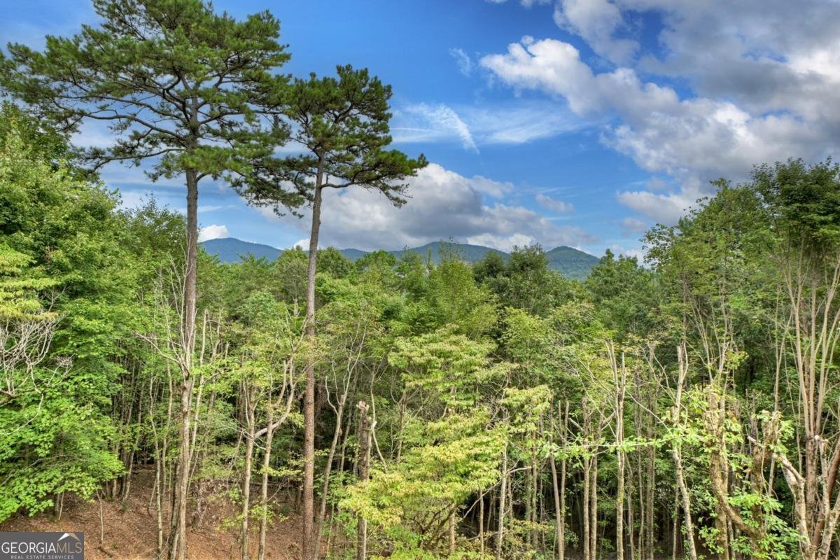 105 Tonto Drive Ellijay - 39