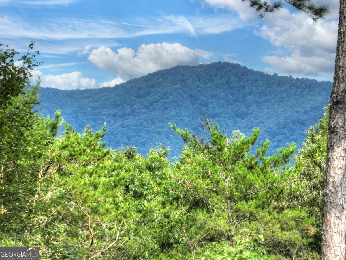 105 Tonto Drive Ellijay - 40