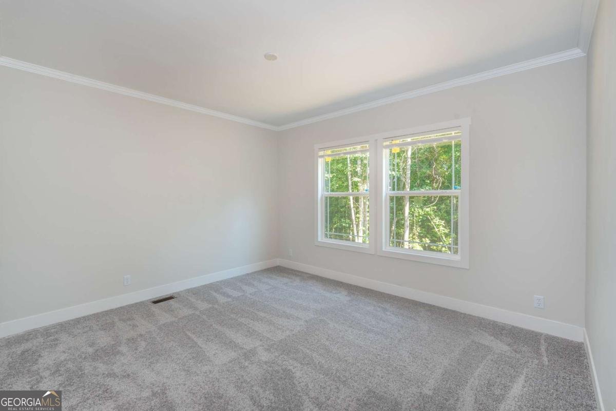 10343 Kelly Bridge Road Dawsonville - 30