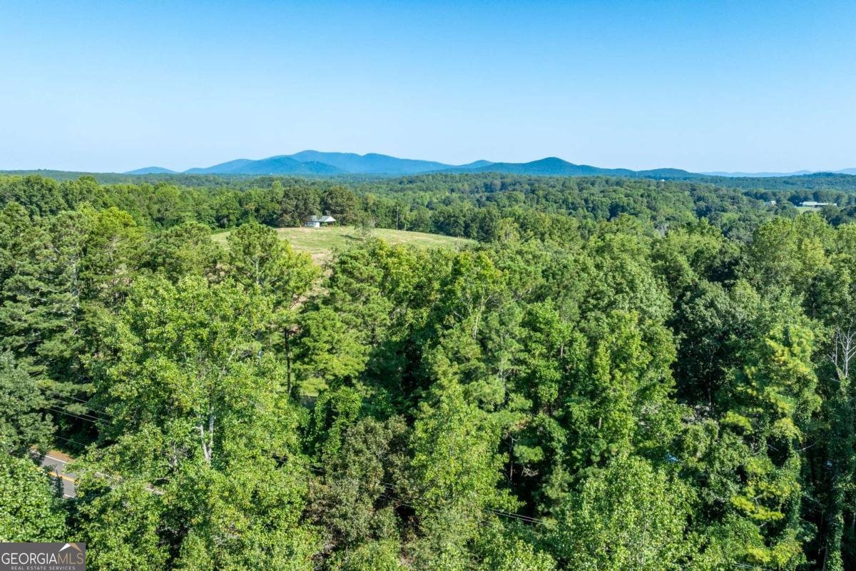 10209 Kelly Bridge Road Dawsonville - 8