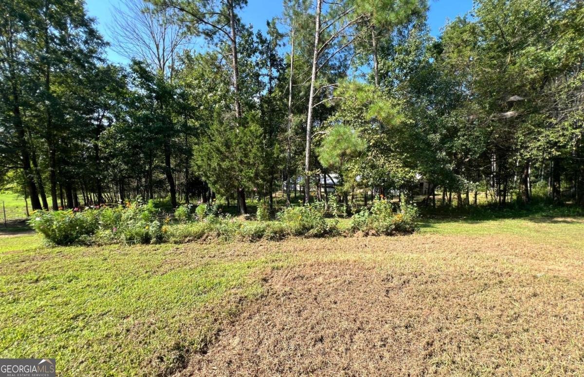 186 Spring Place Road Resaca - 37