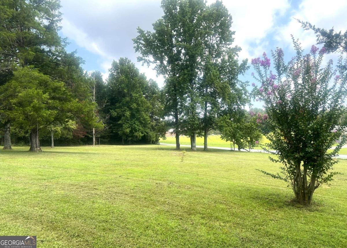 186 Spring Place Road Resaca - 5