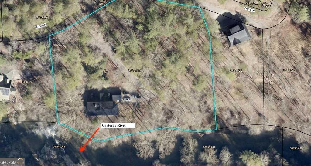 88 Pauls Lane Ellijay - 44
