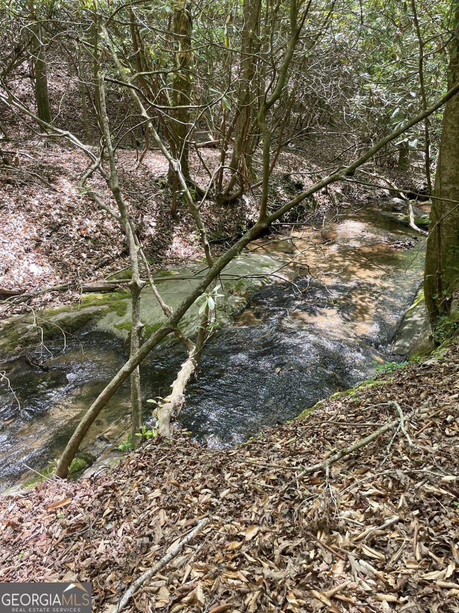 1063 Grindle Bridge Road Dahlonega - 17