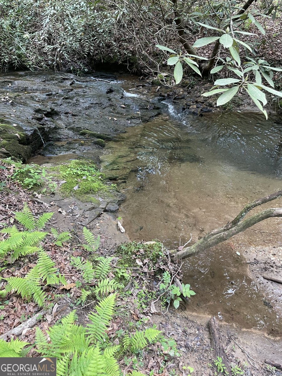 1063 Grindle Bridge Road Dahlonega - 18