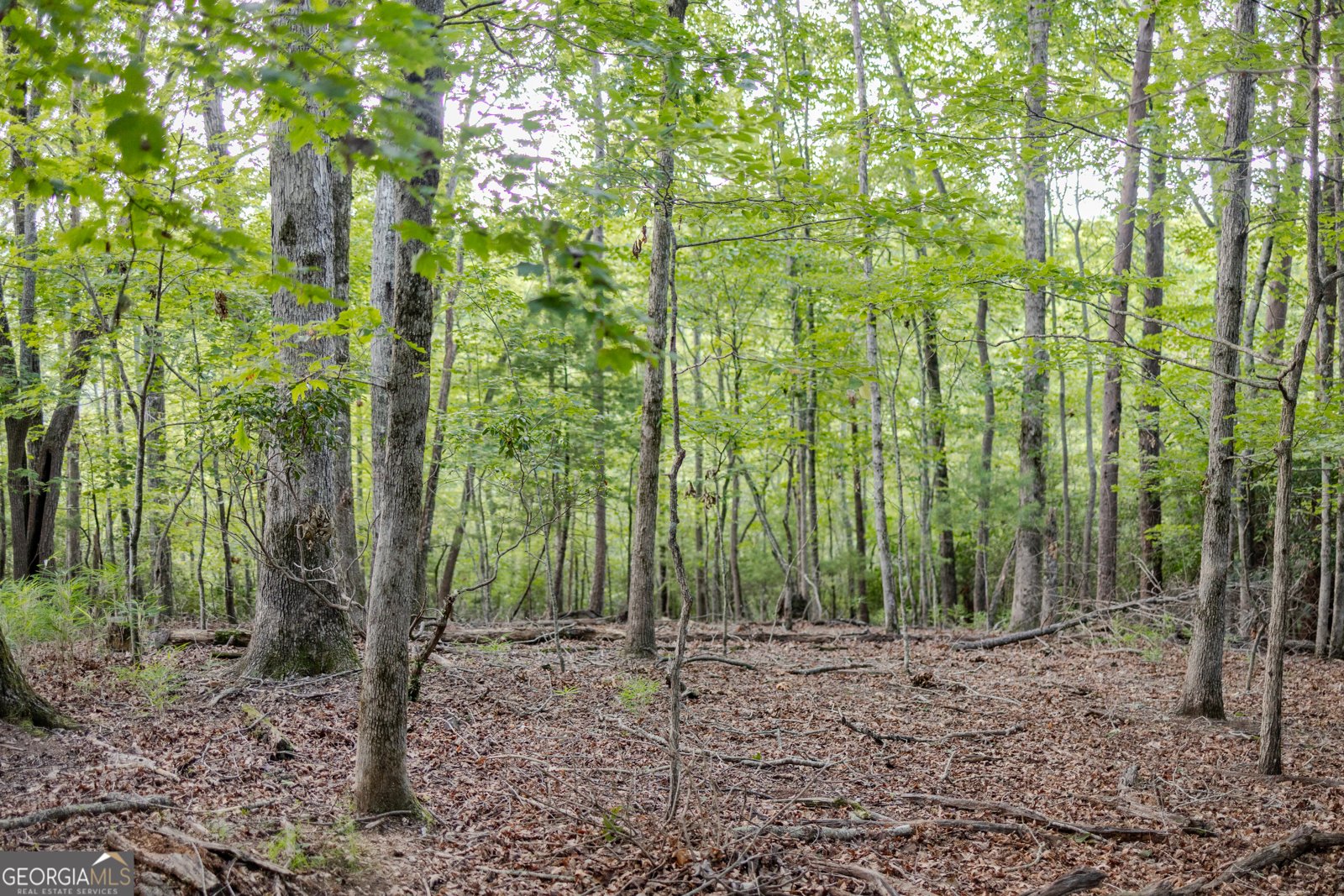 1063 Grindle Bridge Road Dahlonega - 19