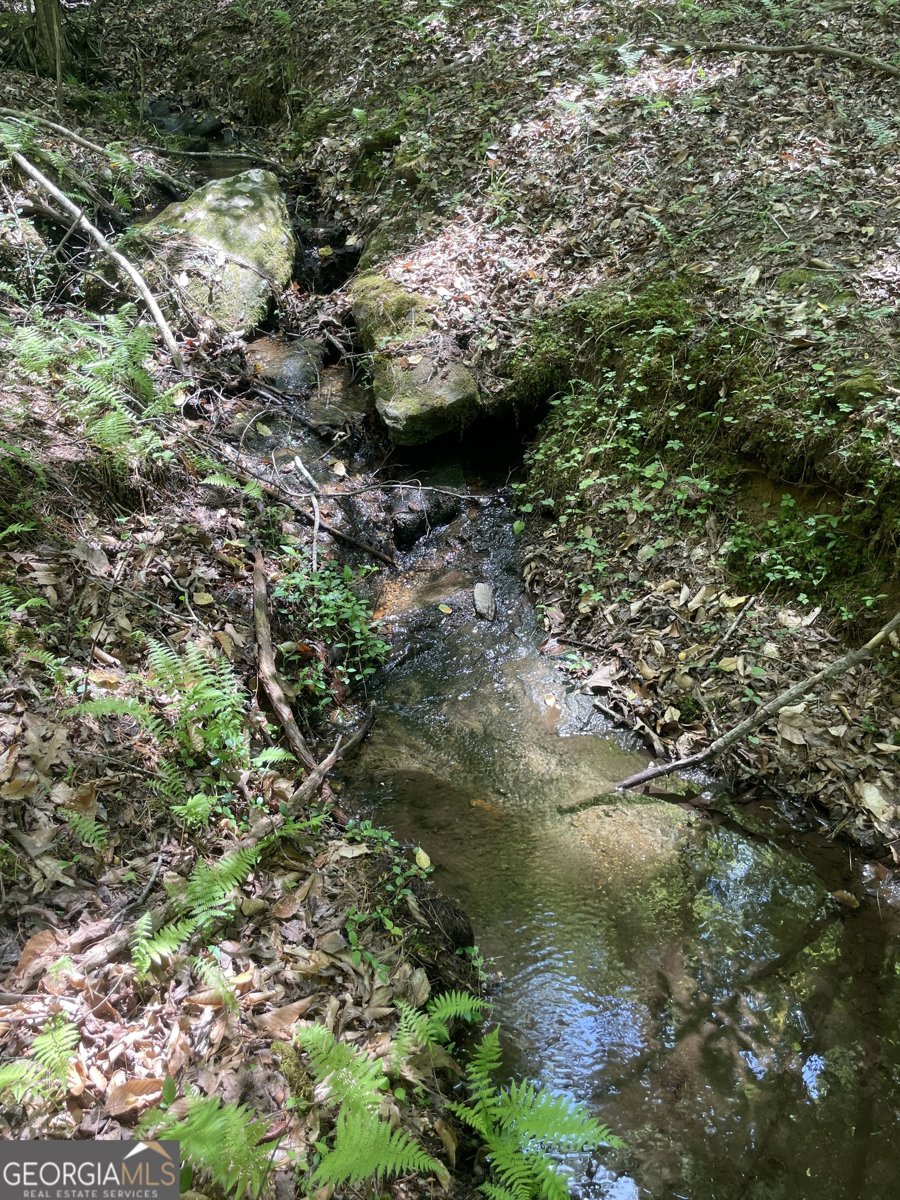 1063 Grindle Bridge Road Dahlonega - 27