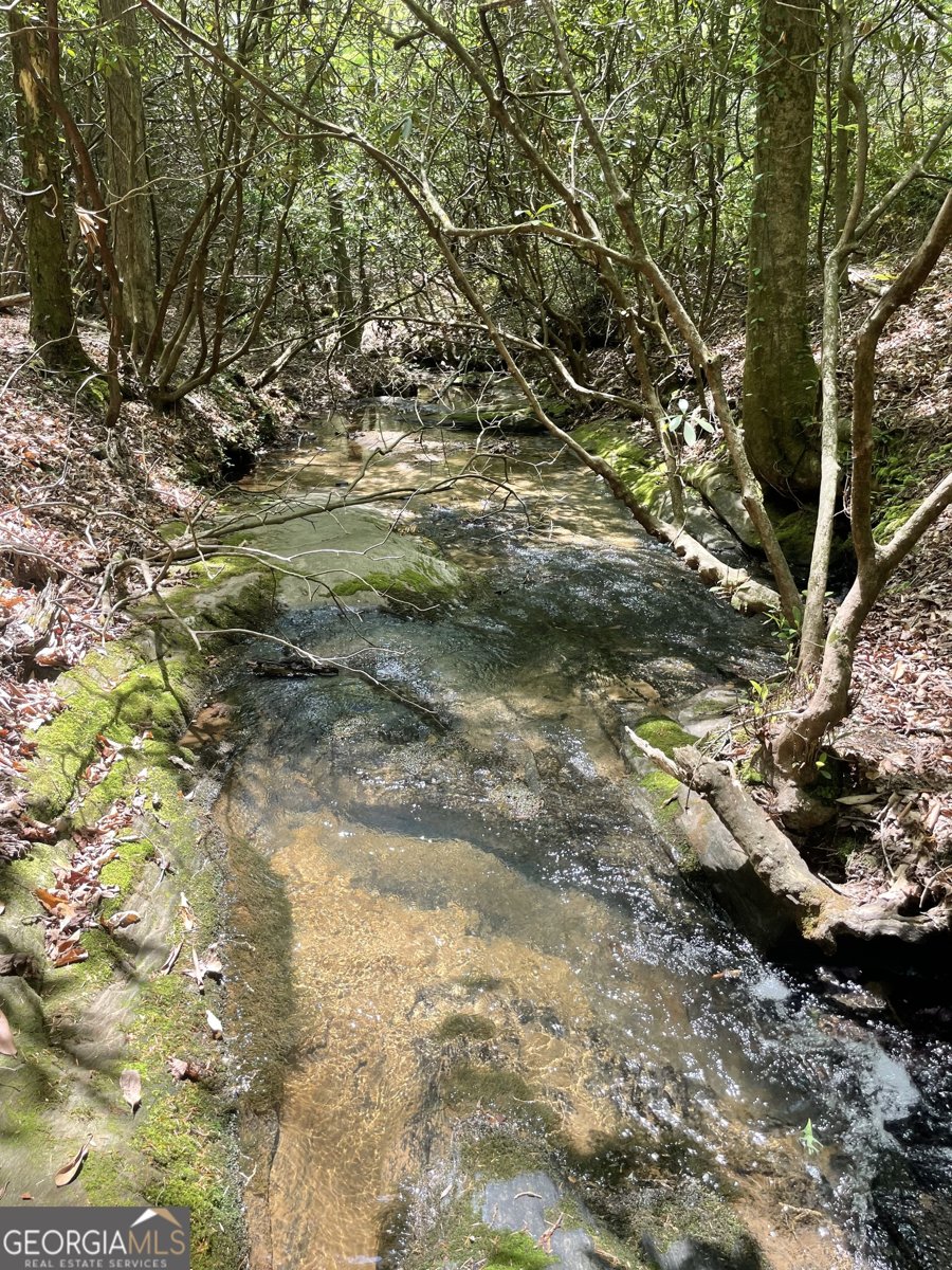 1063 Grindle Bridge Road Dahlonega - 28