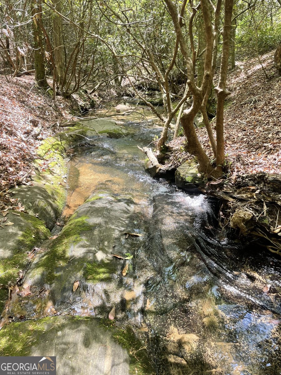 1063 Grindle Bridge Road Dahlonega - 29