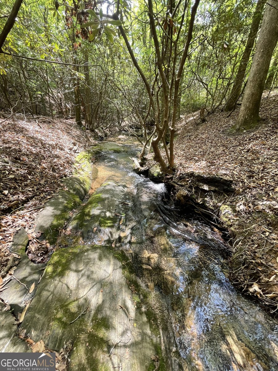 1063 Grindle Bridge Road Dahlonega - 30