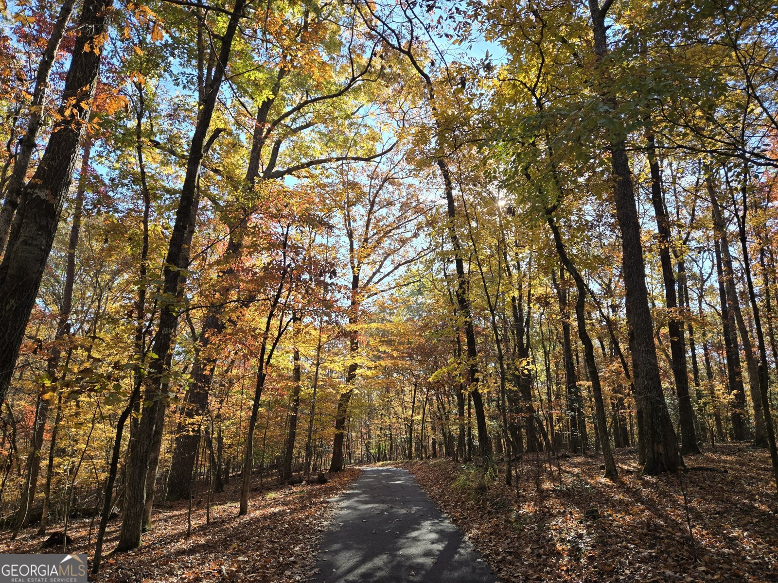 1063 Grindle Bridge Road Dahlonega - 31