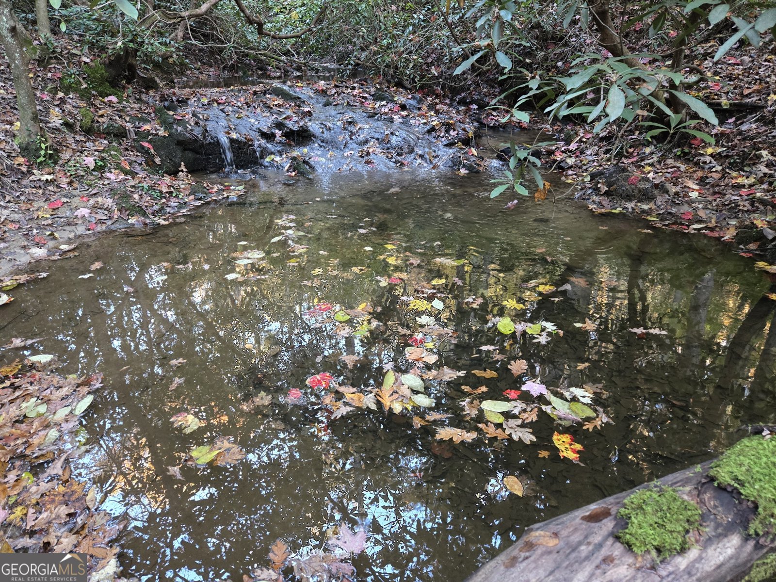 1063 Grindle Bridge Road Dahlonega - 32