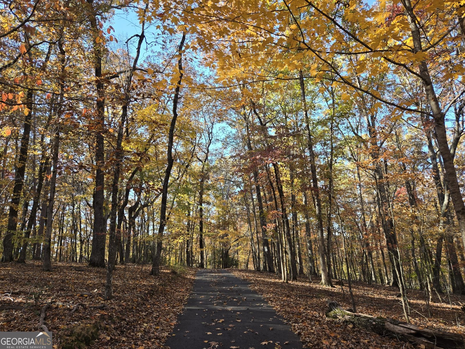 1063 Grindle Bridge Road Dahlonega - 34