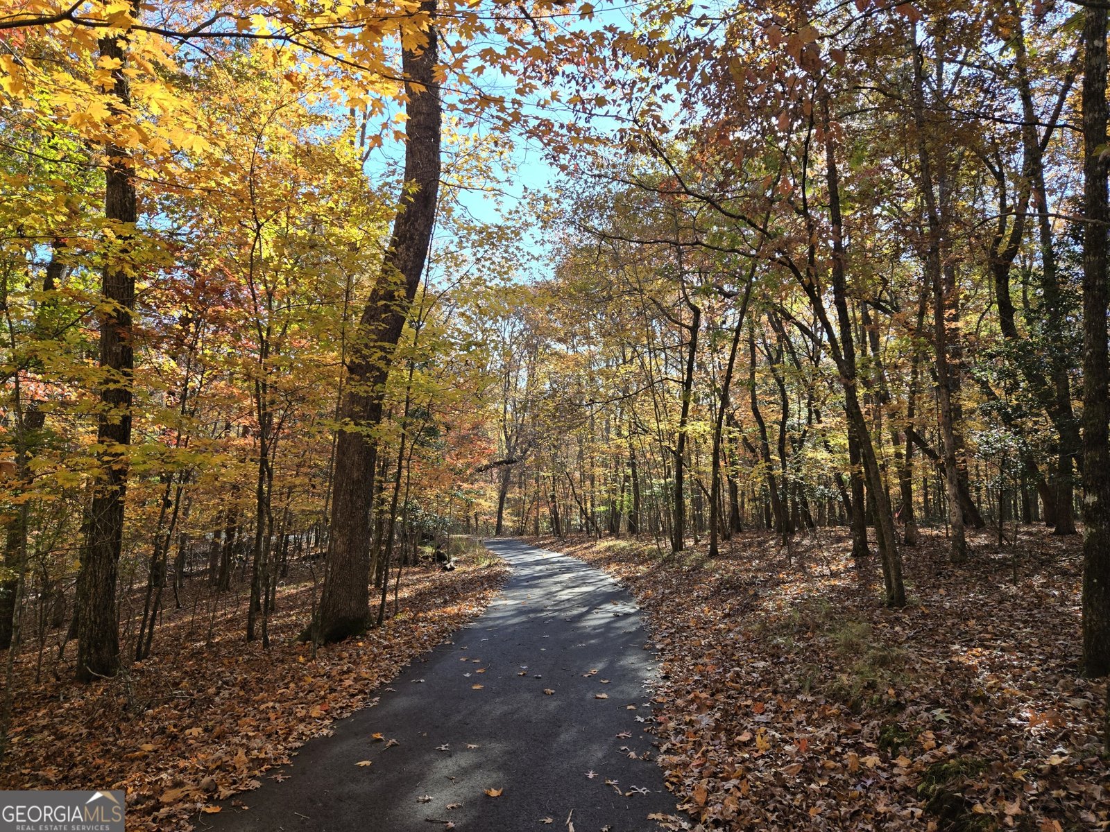 1063 Grindle Bridge Road Dahlonega - 35