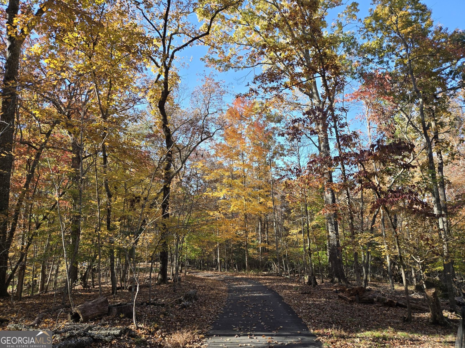 1063 Grindle Bridge Road Dahlonega - 36