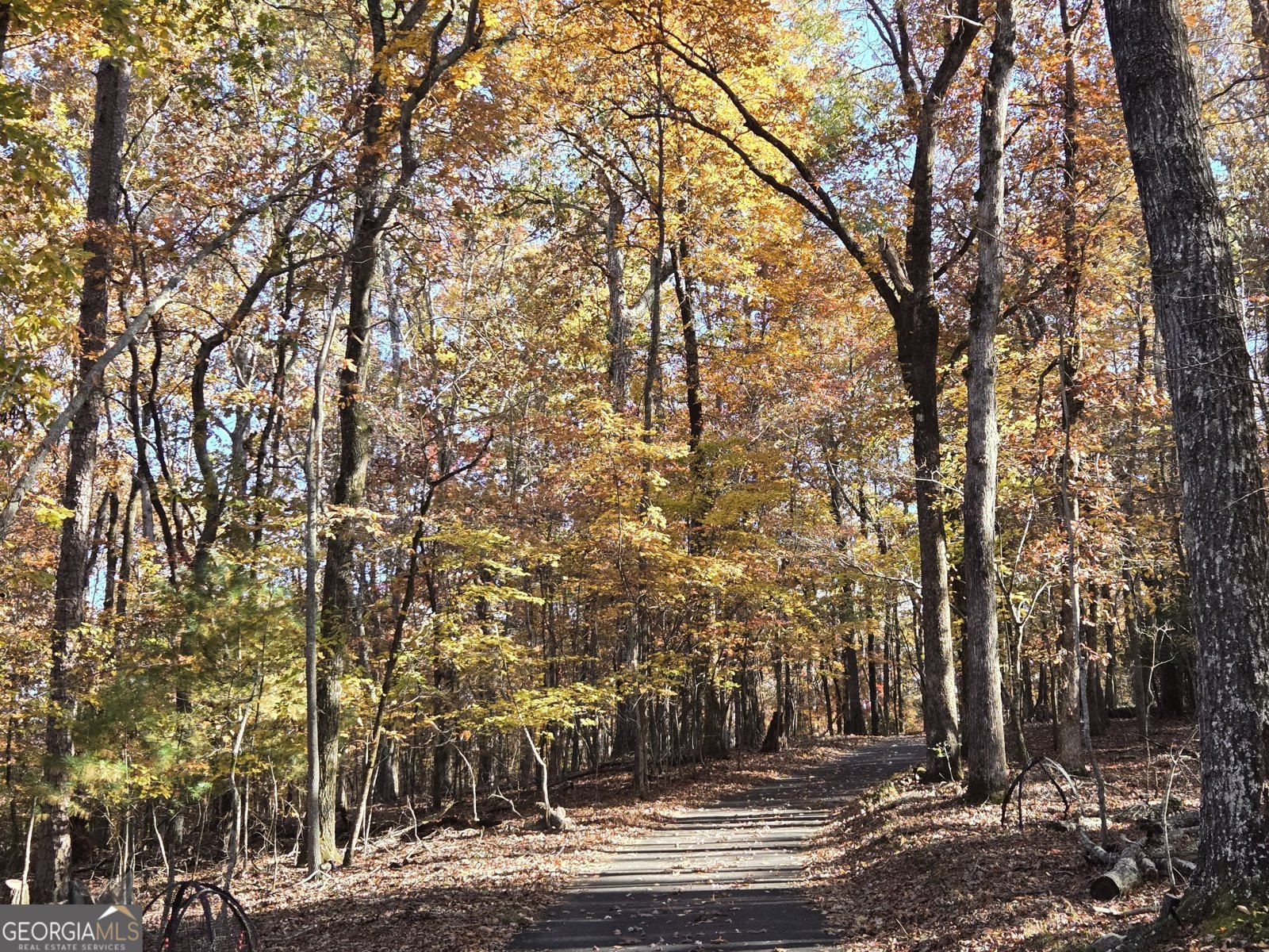 1063 Grindle Bridge Road Dahlonega - 41