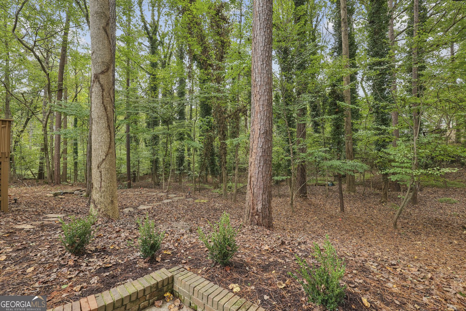 525 Persimmon Lane Roswell - 42