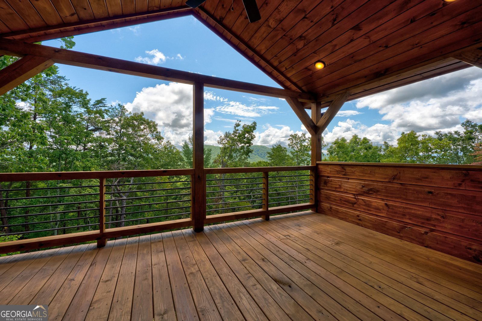 291 Pine Pass Circle Mineral Bluff - 55